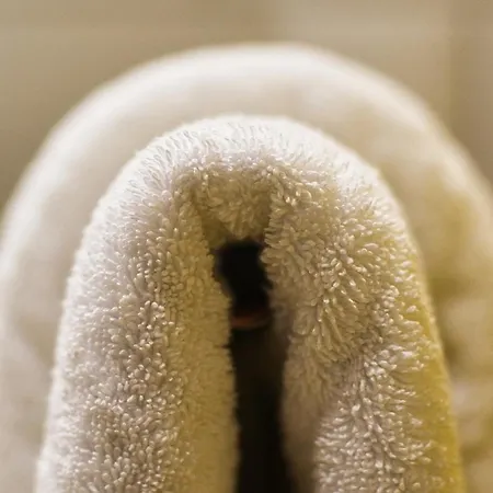 Apartment Komfort-apartment 1903 Walsheim